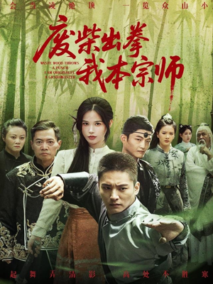 废柴出拳我本宗师(61集) 废柴出拳我本宗师(61集)热门短剧大全