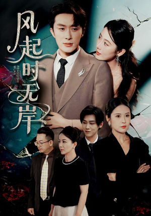 风起时无岸（58集）在哪个app能看