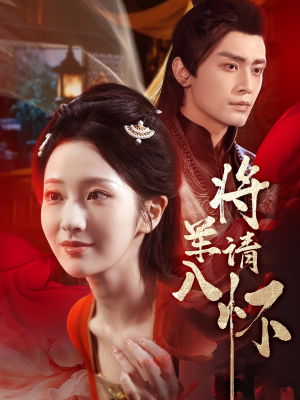 将军请入怀(55集) 将军请入怀(55集)第三季