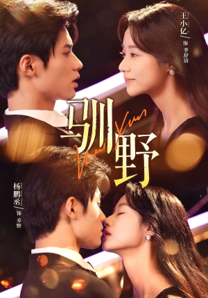 驯野(77集) 驯野(77集)评价怎么样