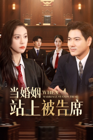 当婚姻站上被告席(30集) 当婚姻站上被告席(30集)完整版