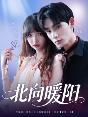 北向暖阳(80集) 北向暖阳(80集)精彩的短剧