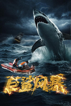 巨鲨风暴(59集) 巨鲨风暴(59集)短剧在线观看