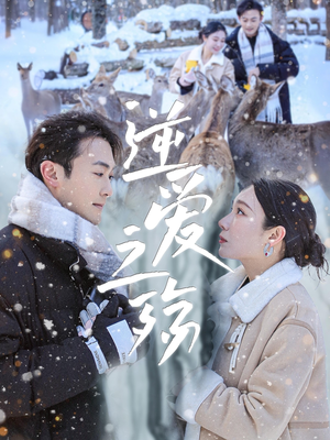 逆爱之殇(60集) 逆爱之殇(60集)全季一次看完