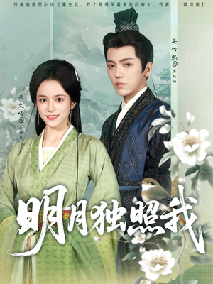 明月独照我(80集) 明月独照我(80集)免费看全集