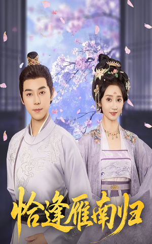 恰逢雁南归（51集）短剧精彩不断