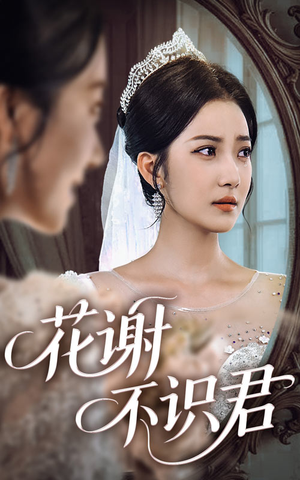 花谢不识君(40集) 花谢不识君(40集)去哪里看