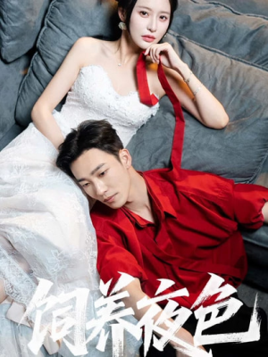 饲养夜色(86集) 饲养夜色(86集)爆火短剧追不停