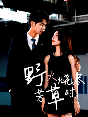 野火烧尽芳草时（65集）短剧全集完整