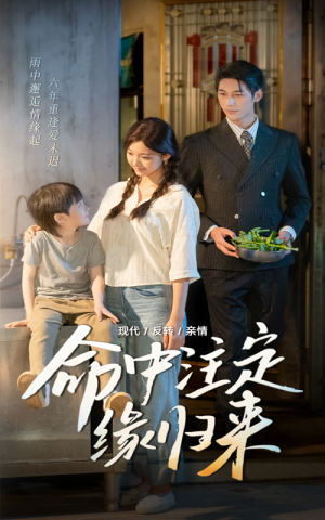 命中注定缘归来(63集) 命中注定缘归来(63集)高分推荐免费看