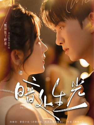 暗处生光(82集) 暗处生光(82集)火爆短剧热播中