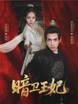 暗卫王妃(60集) 暗卫王妃(60集)免费看全集