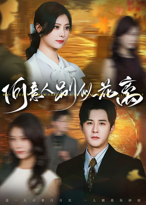 何意人别似花离(61集) 何意人别似花离(61集)精彩片段