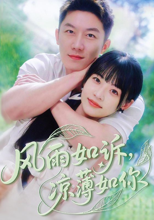 风雨如诉凉薄如你(70集) 风雨如诉凉薄如你(70集)短剧小说在线看