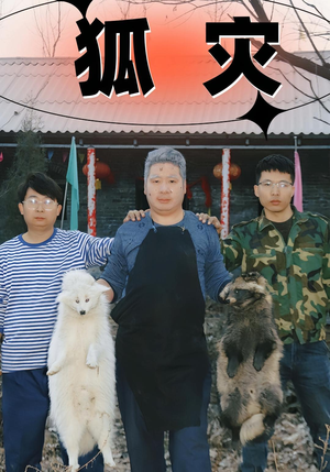 狐灾（25集）全集免费看短剧