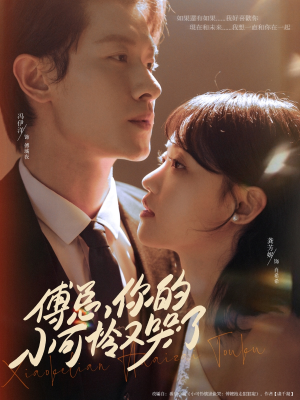 傅总你的小可怜又哭了(80集) 傅总你的小可怜又哭了(80集)热门短剧分享