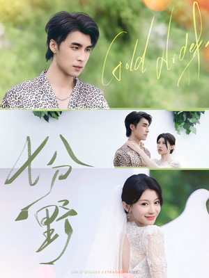 七分野(78集) 七分野(78集)大结局