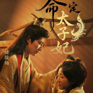 命定太子妃(63集) 命定太子妃(63集)精彩热门短剧