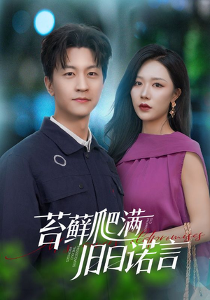 情途难负（83集）在线免费观看