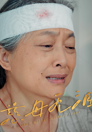 慈母无泪(30集) 慈母无泪(30集)全集在线看