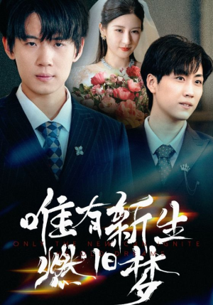 唯有新生燃旧梦（55集）男频短剧推荐
