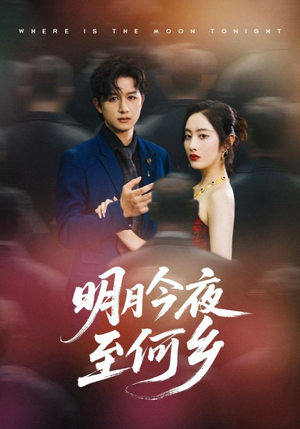 明月今夜至何乡(70集) 明月今夜至何乡(70集)推荐你们也去看