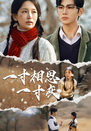 一寸相思一寸灰(43集) 一寸相思一寸灰(43集)无需会员轻松看