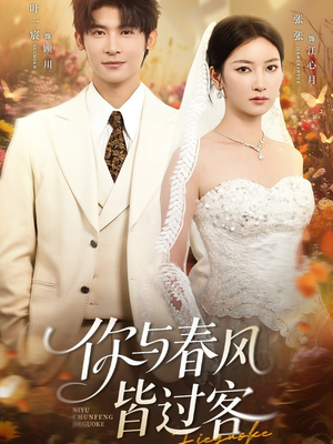 你与春风皆过客(66集) 你与春风皆过客(66集)热播短剧分享