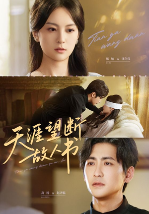 天涯望断故人书(60集) 天涯望断故人书(60集)追风的女孩短剧