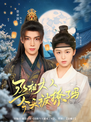 丞相大人今天被撩了吗(80集) 丞相大人今天被撩了吗(80集)夸克在线观看