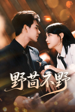 野茴不野(67集) 野茴不野(67集)精彩短剧天天看