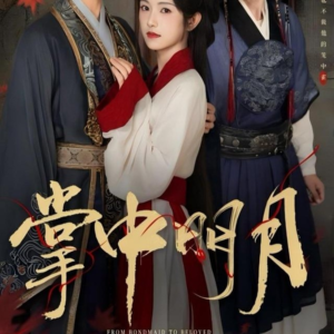 掌中明月(60集) 掌中明月(60集)完整版