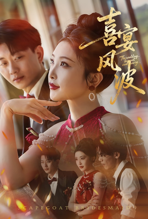 喜宴风波&替罪伴娘(30集) 喜宴风波&替罪伴娘(30集)口碑之选免费看