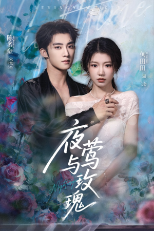 夜莺与玫瑰(66集) 夜莺与玫瑰(66集)热播短剧免费看