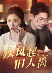 疾风起旧人离(32集) 疾风起旧人离(32集)爆火短剧追不停