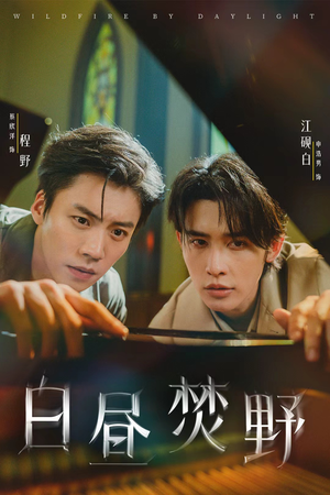 白昼焚野(70集) 白昼焚野(70集)短剧免费看