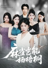 麻雀岂能栖梧桐(31集) 麻雀岂能栖梧桐(31集)一口气追完全集