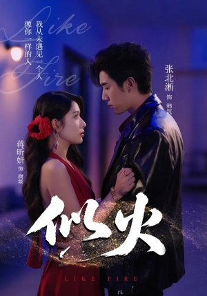 似火(80集) 似火(80集)免费短剧片段