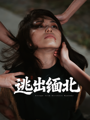 逃出缅北(62集) 逃出缅北(62集)在线看