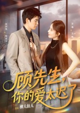 顾先生你的爱太迟了(60集) 顾先生你的爱太迟了(60集)短剧热播抢先看