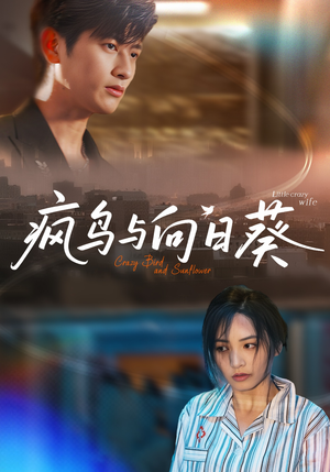 疯鸟与向日葵(40集) 疯鸟与向日葵(40集)短剧视频分享