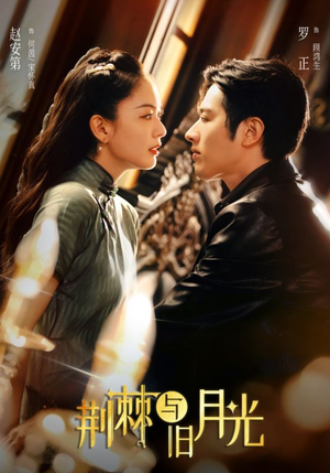 荆棘与旧月光(80集) 荆棘与旧月光(80集)在线免费观影