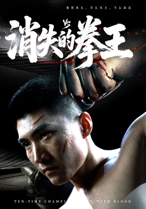 消失的拳王（72集）全集