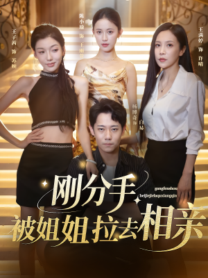 刚分手被姐姐拉去相亲(73集) 刚分手被姐姐拉去相亲(73集)免费短剧资源