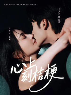 心上刻桔梗(90集) 心上刻桔梗(90集)一起追生活短剧