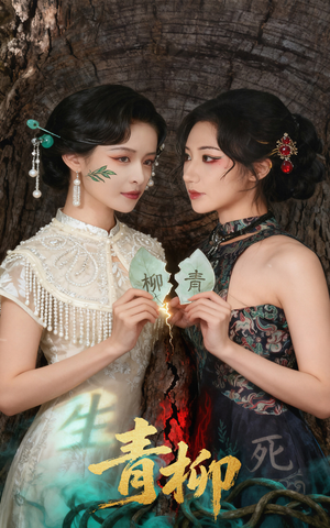 青柳(79集) 青柳(79集)全剧免费观看