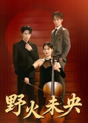 野火未央(40集) 野火未央(40集)短剧解说全集