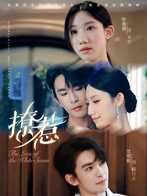 撩惹(80集) 撩惹(80集)短剧精彩片段