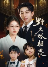 野火烬相思（61集）短剧全集免费