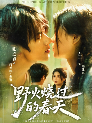 野火烧过的春天(85集) 野火烧过的春天(85集)最新上映免费看